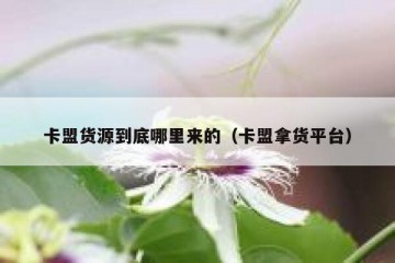 卡盟货源到底哪里来的（卡盟拿货平台）