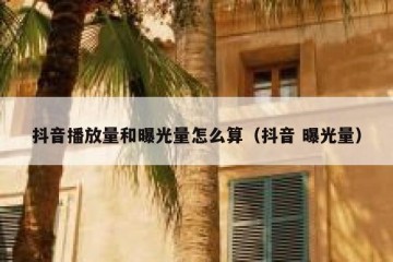 抖音播放量和曝光量怎么算（抖音 曝光量）