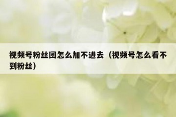 视频号粉丝团怎么加不进去（视频号怎么看不到粉丝）