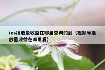 ins播放量收益在哪里查询的到（视频号播放量收益在哪里看）