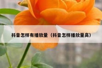 抖音怎样有播放量（抖音怎样播放量高）
