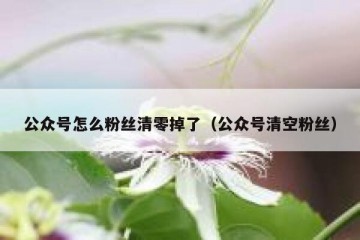 公众号怎么粉丝清零掉了（公众号清空粉丝）