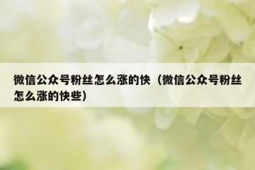 微信公众号粉丝怎么涨的快（微信公众号粉丝怎么涨的快些）