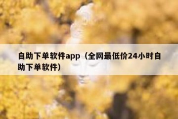 自助下单软件app（全网最低价24小时自助下单软件）