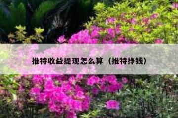 推特收益提现怎么算（推特挣钱）