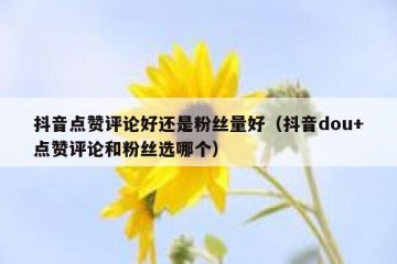抖音点赞评论好还是粉丝量好（抖音dou+点赞评论和粉丝选哪个）