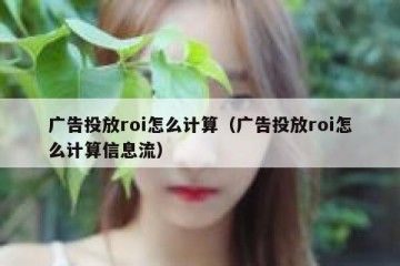 广告投放roi怎么计算（广告投放roi怎么计算信息流）