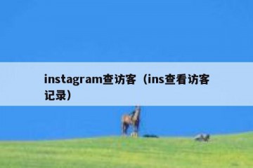 instagram查访客（ins查看访客记录）