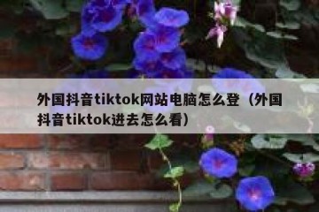 外国抖音tiktok网站电脑怎么登（外国抖音tiktok进去怎么看）