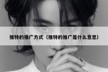 推特的推广方式（推特的推广是什么意思）