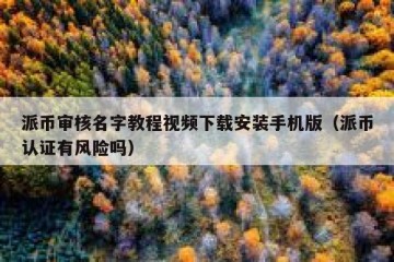 派币审核名字教程视频下载安装手机版（派币认证有风险吗）
