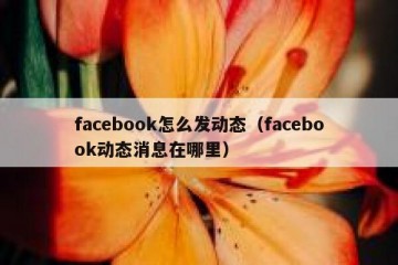 facebook怎么发动态（facebook动态消息在哪里）