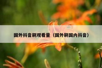 国外抖音刷观看量（国外刷国内抖音）