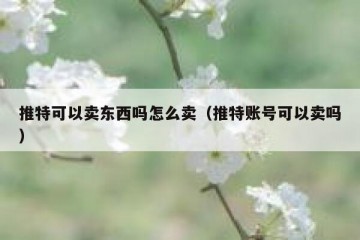 推特可以卖东西吗怎么卖（推特账号可以卖吗）
