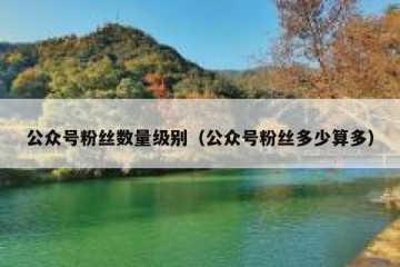 公众号粉丝数量级别（公众号粉丝多少算多）