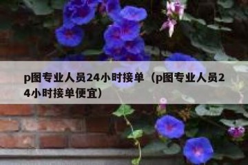p图专业人员24小时接单（p图专业人员24小时接单便宜）