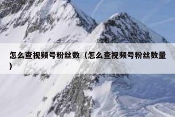 怎么查视频号粉丝数（怎么查视频号粉丝数量）