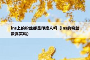 ins上的粉丝都是印度人吗（ins的粉丝数真实吗）