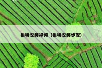 推特安装视频（推特安装步骤）