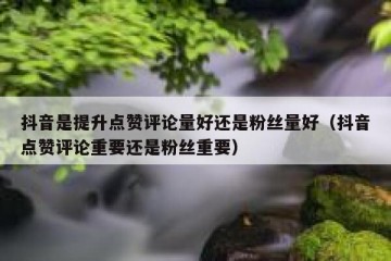 抖音是提升点赞评论量好还是粉丝量好（抖音点赞评论重要还是粉丝重要）