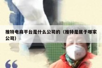 推特电商平台是什么公司的（推特是属于哪家公司）