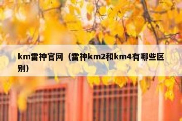 km雷神官网（雷神km2和km4有哪些区别）