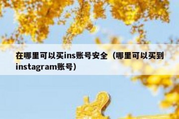 在哪里可以买ins账号安全（哪里可以买到instagram账号）