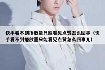 快手看不到播放量只能看见点赞怎么回事（快手看不到播放量只能看见点赞怎么回事儿）