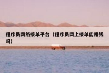 程序员网络接单平台（程序员网上接单能赚钱吗）