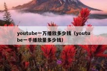 youtube一万播放多少钱（youtube一千播放量多少钱）