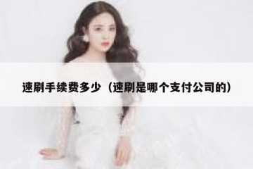 速刷手续费多少（速刷是哪个支付公司的）