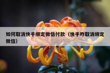 如何取消快手绑定微信付款（快手咋取消绑定微信）
