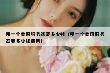 租一个美国服务器要多少钱（租一个美国服务器要多少钱费用）