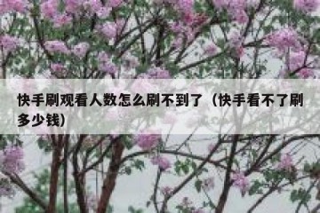 快手刷观看人数怎么刷不到了（快手看不了刷多少钱）