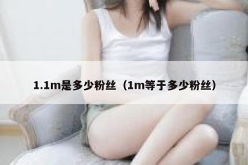 1.1m是多少粉丝（1m等于多少粉丝）