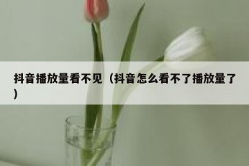 抖音播放量看不见（抖音怎么看不了播放量了）