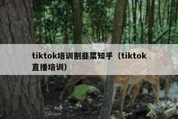 tiktok培训割韭菜知乎（tiktok直播培训）