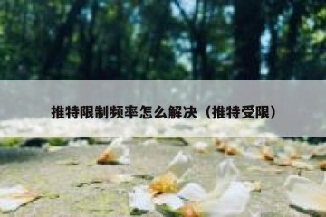 推特限制频率怎么解决（推特受限）