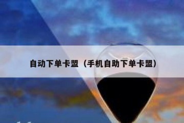 自动下单卡盟（手机自助下单卡盟）