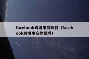 facebook跨境电商项目（facebook跨境电商挣钱吗）