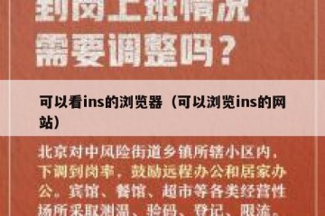 可以看ins的浏览器（可以浏览ins的网站）