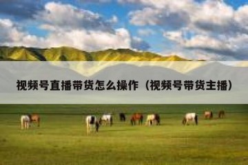 视频号直播带货怎么操作（视频号带货主播）