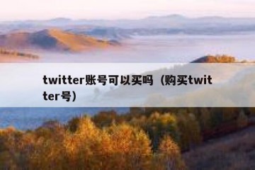 twitter账号可以买吗（购买twitter号）