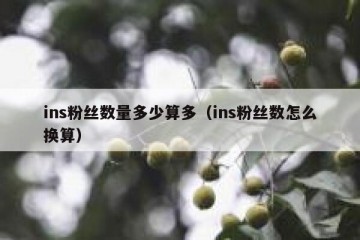 ins粉丝数量多少算多（ins粉丝数怎么换算）