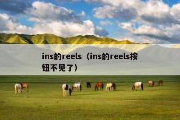 ins的reels（ins的reels按钮不见了）