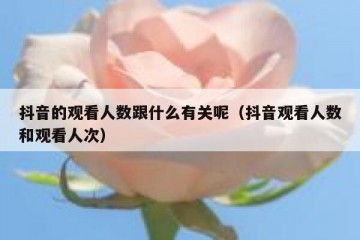 抖音的观看人数跟什么有关呢（抖音观看人数和观看人次）