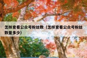 怎样查看公众号粉丝数（怎样查看公众号粉丝数量多少）