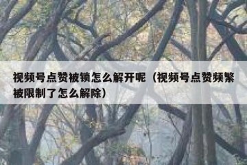 视频号点赞被锁怎么解开呢（视频号点赞频繁被限制了怎么解除）