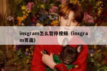 insgram怎么暂停视频（insgram页面）