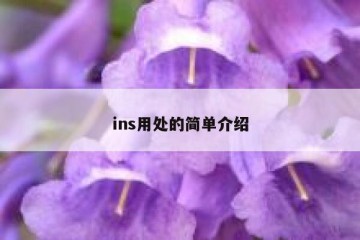 ins用处的简单介绍